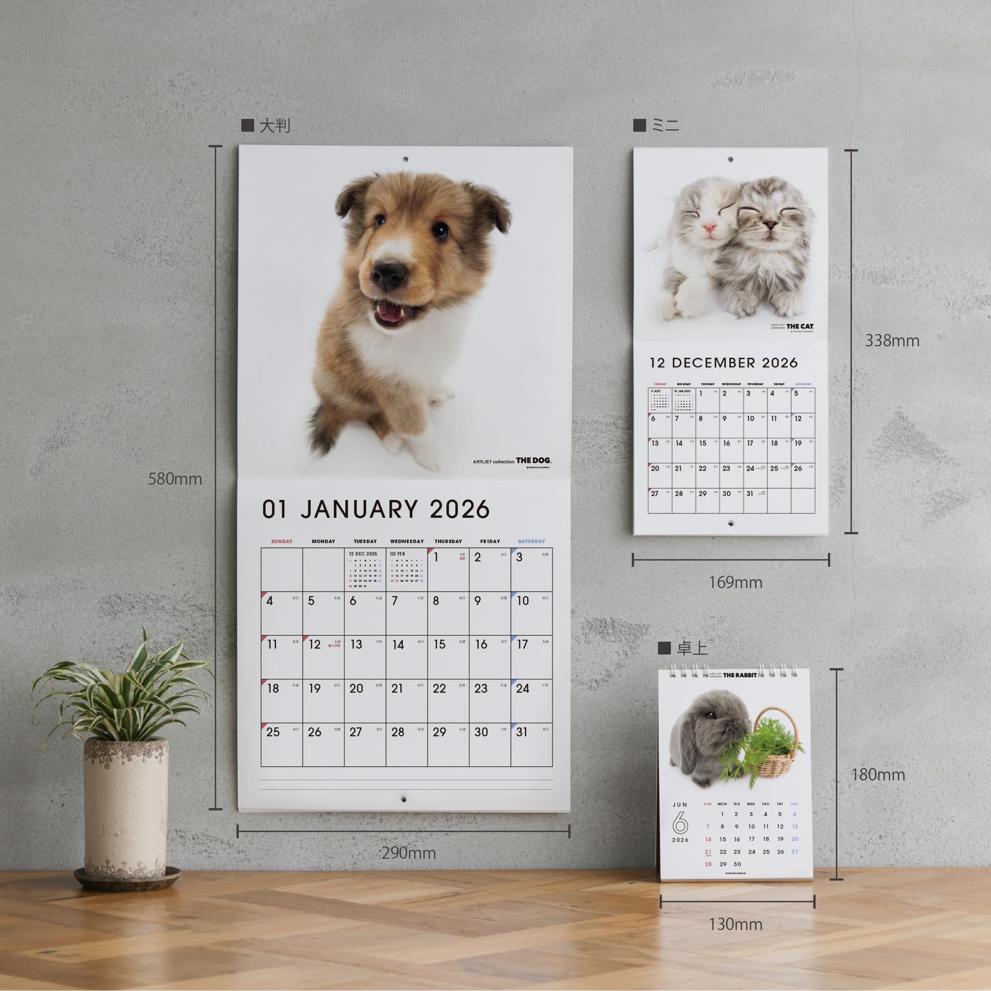 Amazon | THE DOG カレンダー 2026 壁掛け 大判サイズ [マルチーズ